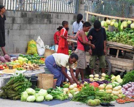 Timor Cooperativa Café - Image 5